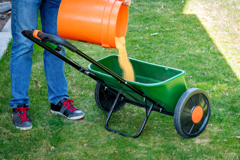 Gardener pouring weed and feed into spreader