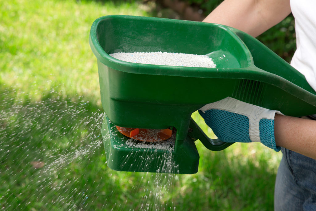 Spreading fertilizer using a handheld spreader