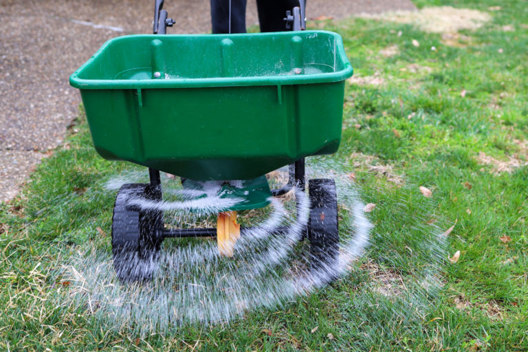 Applying fertilizer in lawn