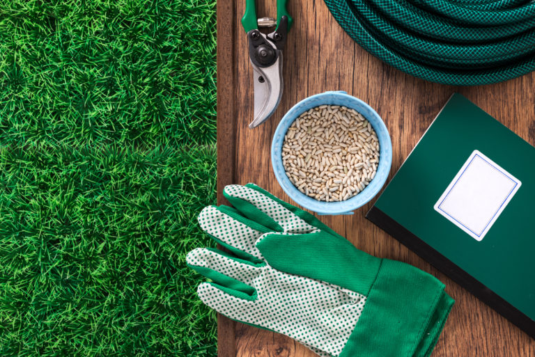 tools for overseeing lawn