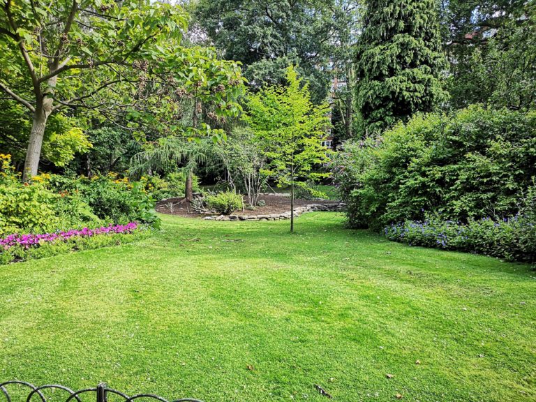 Nice looking lawn with trees in the background