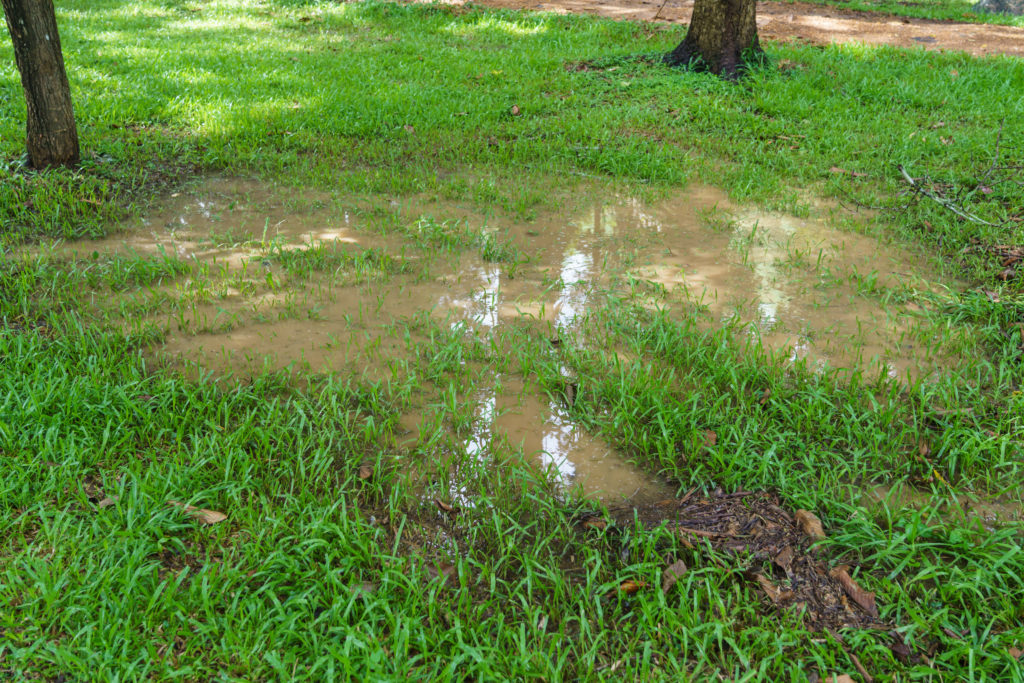 Clay soil with waterlogged grass