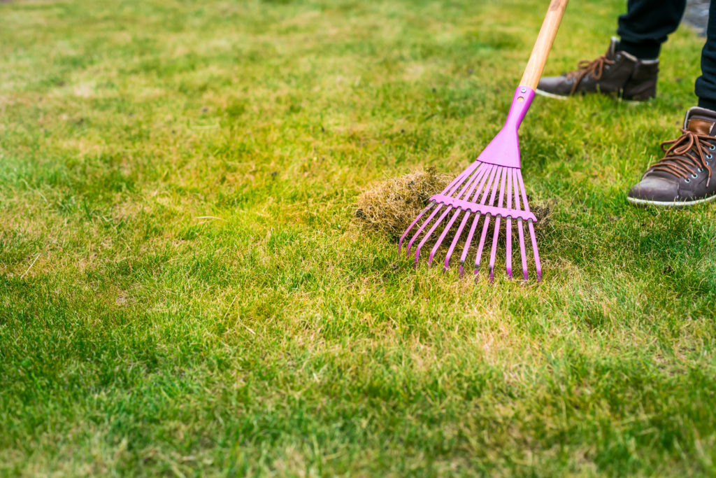 Clearing lawn with a rake