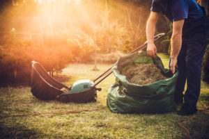 Dethatching lawn