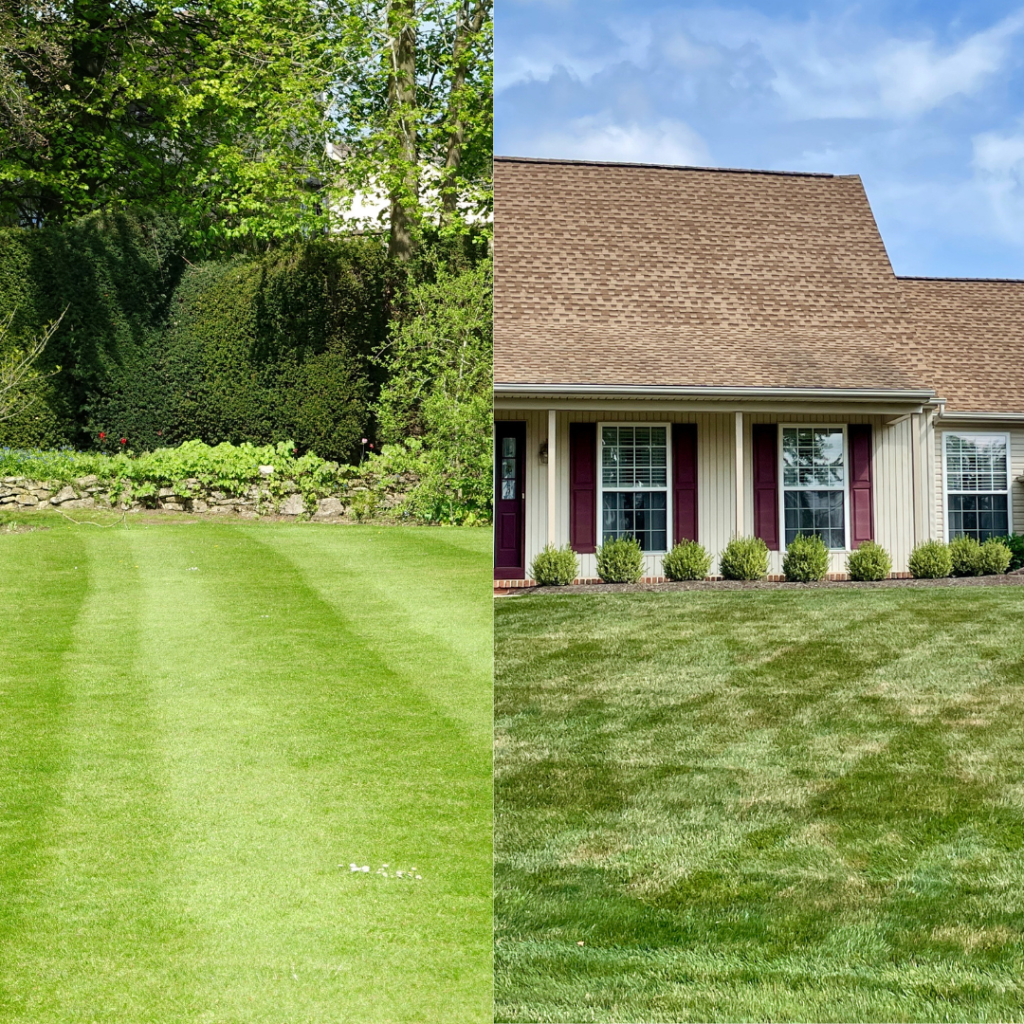 Straight line comparison with a Cross striped lawn