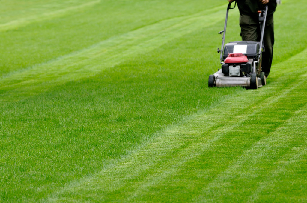 Mowing lawn in straight line