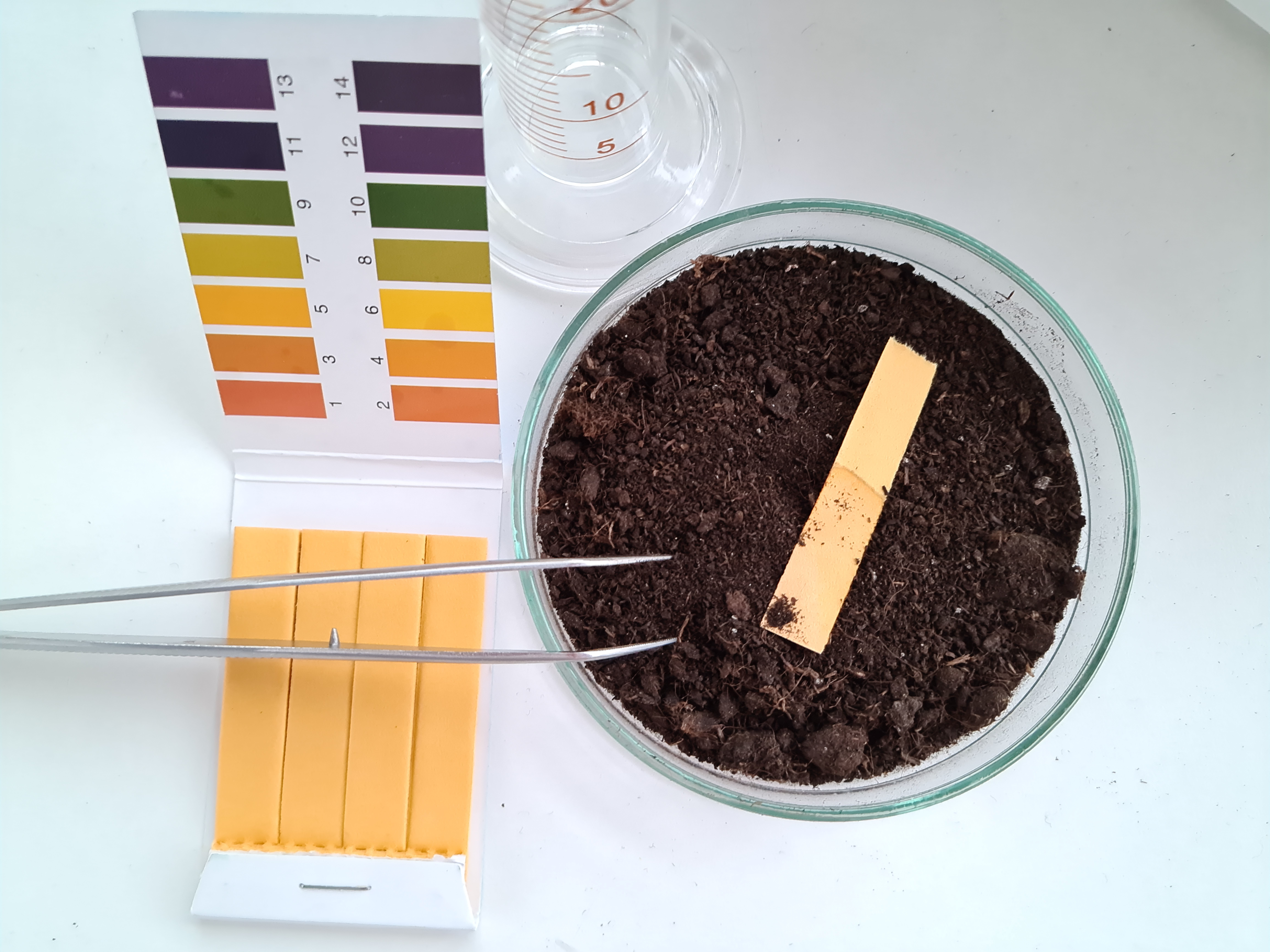 Testing soil ph