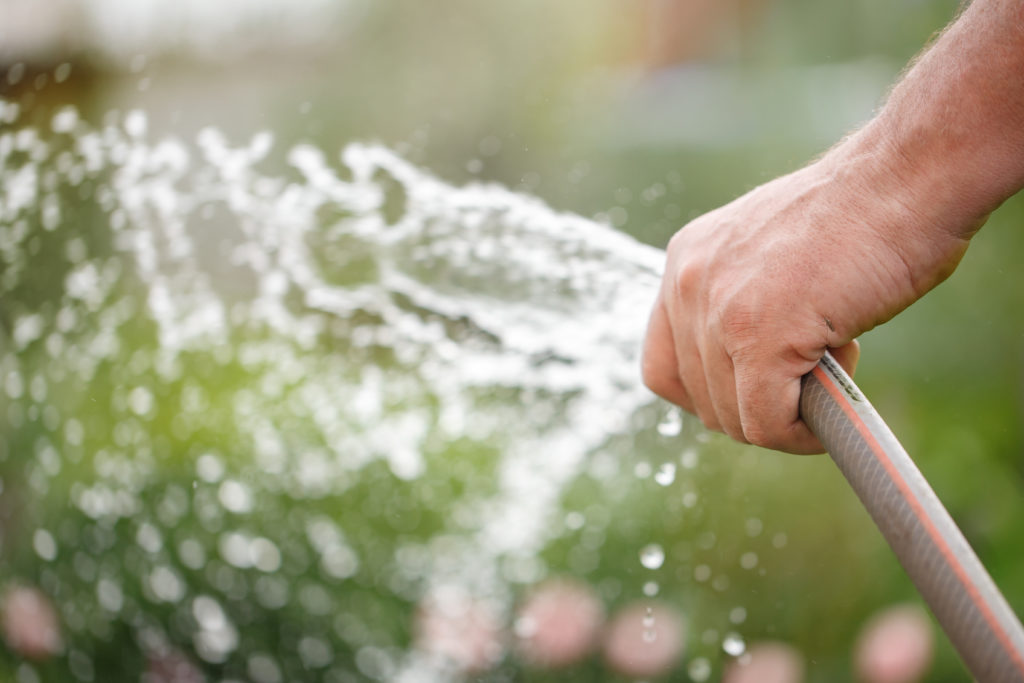 Watering the lawn by hand